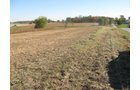 Property photo 7 - 110+/- Acres offered in 4 Tillable Tracts